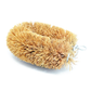 Coir Brush