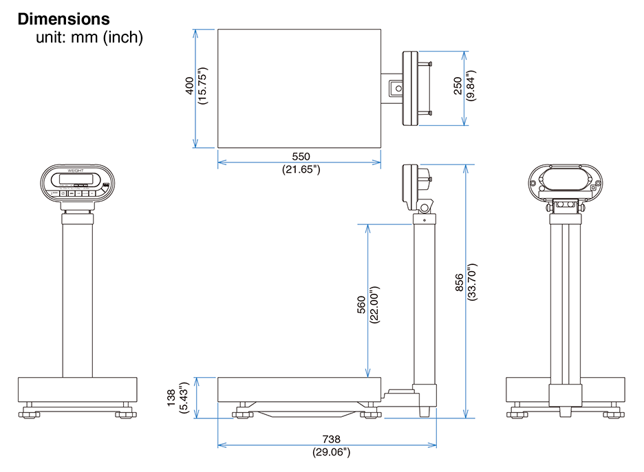Platform Scales