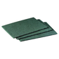 Scouring Pad